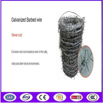 China Weight of barbed wire price per roll meter length for sale philippines for sale