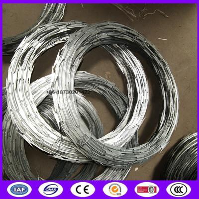 China Cbt-65 450mm 50 Feet Length Galvanized Steel Razor Wire Ribbon for Military for sale