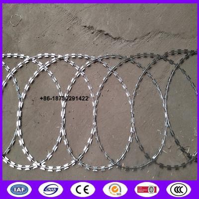 China 450mm coil diameter Razor wire flat wrap coils as a clapped into a flat panel formation. for sale