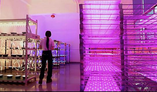 Verified China supplier - Shenzhen Housing Lighting Co., Ltd.