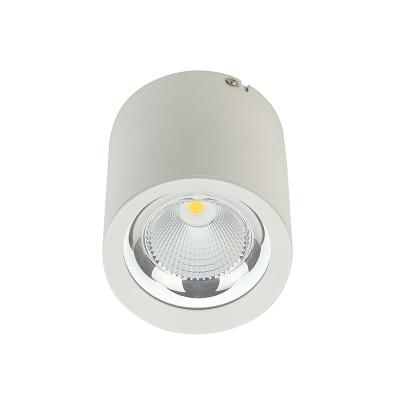 China Aluminum 20° 45° Round Surface Mounted Downlight 2700K-6500K for sale