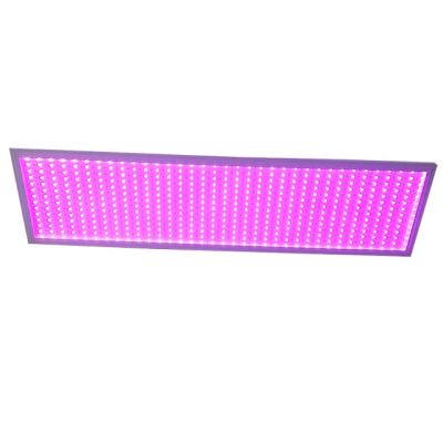 China 100W LED Grow Lights Full Spectrum 120° Beam Angle With High Light Intensity for sale