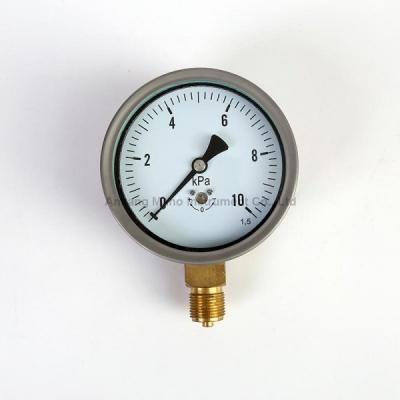 China PG-043 Capsule element pressure gauge 100mm SS case for sale