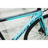 Quality Race Roadbike Cycle with Disc Brake and Carbon Fibre Fork OEM 21 Speed MTB for sale