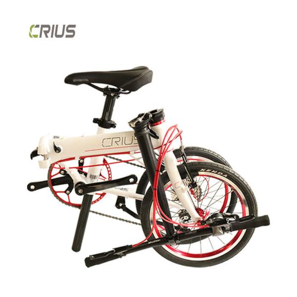 Quality 16" Full Shockingproof Frame Lightweight Folding Road Bike for Standard Adult for sale