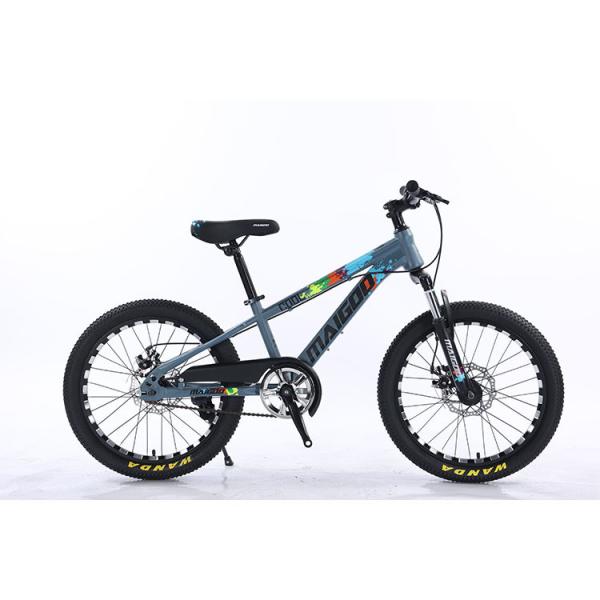Quality 20" Children Bicycle Kids Bike Single Speed Bicicleta with Steel Suspension Fork for sale