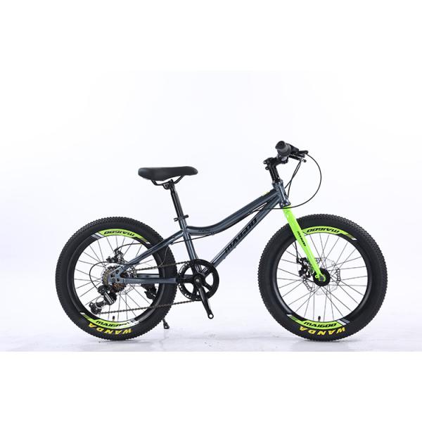 Quality WANDA 20*2.125 Tyre 20" Steel Mountain Bike 7SP Kids' Bike With Safe And Durable for sale