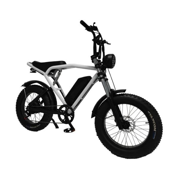 Quality 1460*320*840mm REMOVABLE BATTERY Hot E-Bike Fat Tire Mountain Bike Electric Bicycle for sale
