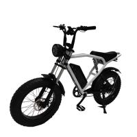 china Off-Road 20*4.0 Kenda Tire Electric Bike for Thrilling Rides and Fast Shipping