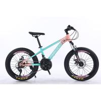 Quality 20" 21s Kids Bike Children's Bike with Customized Logo and Aluminum Alloy Rim for sale