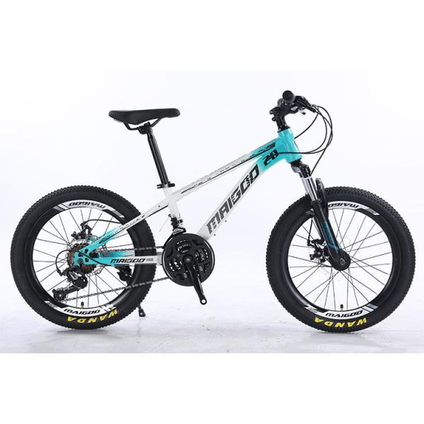 Quality 20" 21s Kids Bike Children's Bike with Customized Logo and Aluminum Alloy Rim for sale