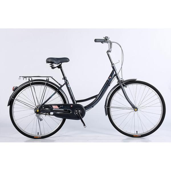 Quality Custom Steel Frame Street Urban City Bike 26 for Women and Men in European for sale