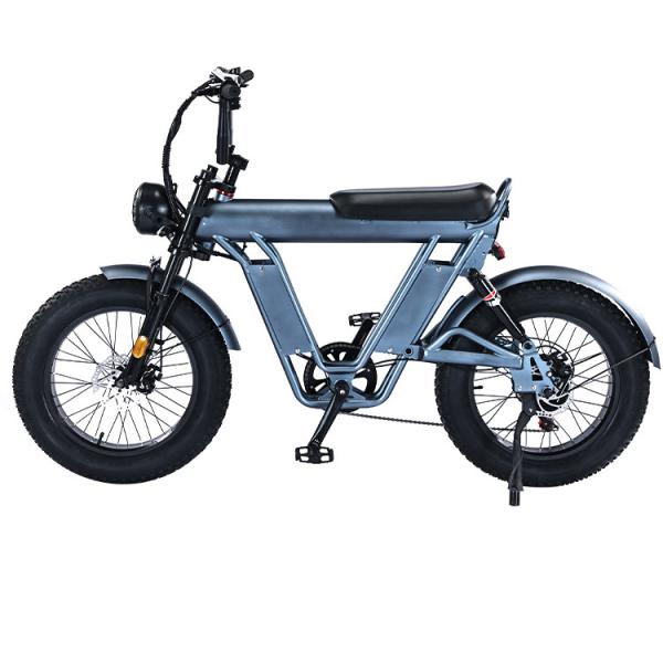 Quality 20 Inches Fat Tire Electric Bicycle with 48V Aluminum Alloy Frame and Dual for sale