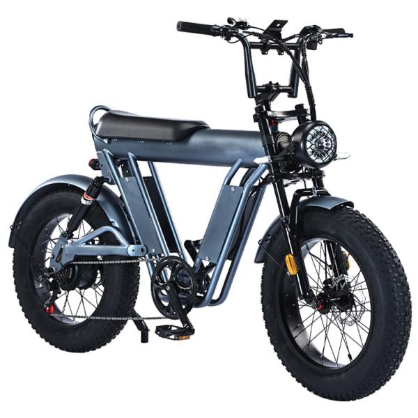 Quality 20 Inches Fat Tire Electric Bicycle with 48V Aluminum Alloy Frame and Dual for sale
