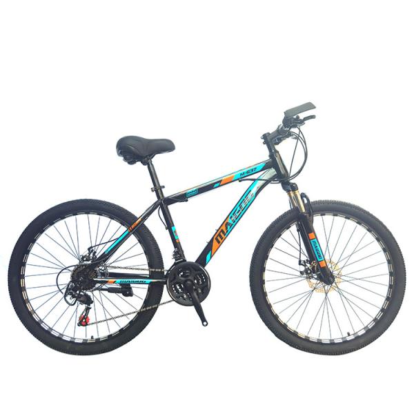 Quality 24 Inch 21 Speed Mountain Bike Mtb Mountain Bicycle for Adult Men Tire Width 24 for sale