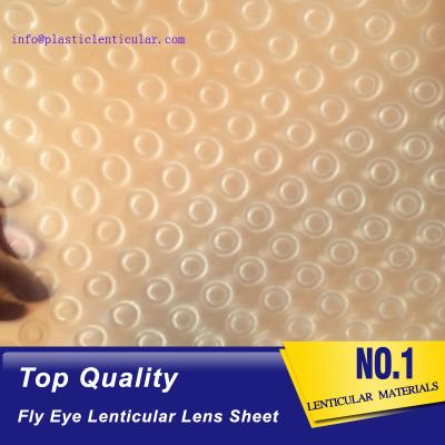 China Órdenes lenticulares de la hoja de la mosca 3d 360 de ojo de la lente de la hoja del ojo LENTICULAR PLÁSTICO de la mosca con los pequeños puntos en venta