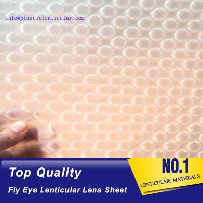 China Hoja lenticular LENTICULAR PLÁSTICA de la lente del ojo 3d de la mosca materical con el efecto 3d y 360 grados en venta