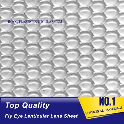 China Material lenticular de 80lpi 0.45m m del punto de la lente de la hoja de la mosca del ojo de la hoja 360 de la lente lenticular LENTICULAR PLÁSTICA del punto 3d en venta