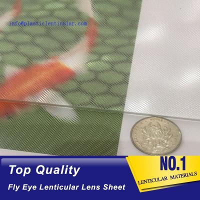 China PLASTIC LENTICULAR fly eye 3d lenticular microlens array dot imaging cylindrical microlens array PS microlens array for sale