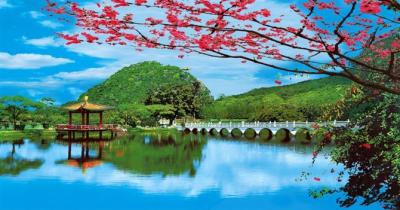 China PLASTIC LENTICULAR beautiful flower 3d picture pet lenticular lens home decor wall picture 3d prints for sale
