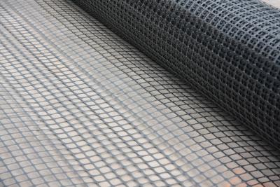 China Polyester Composite Geo Grid Ground Grid Polyethylene Membrane for sale