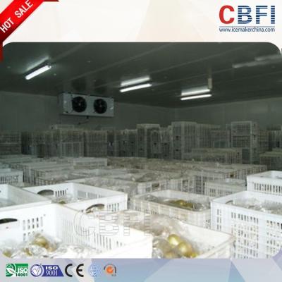 Κίνα μικρή κατανάλωση ηλεκτρικής δύναμης κρύων δωματίων ψυκτήρων 100mm 120mm 150mm 200mm προς πώληση