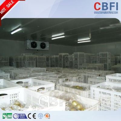 China CBFI 500 toneladas de frutas de las legumbres de cámara fría del congelador con la unidad del compresor en venta