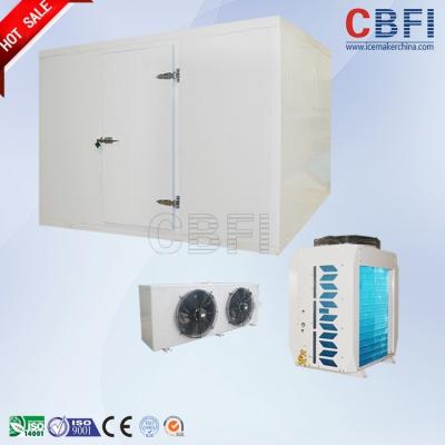 中国 フリーザーの引き戸/振動ドアの商業歩行、実験室の冷蔵室の強い反変形 販売のため