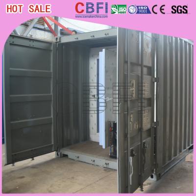 China Swing Door / Sliding Door Container Cold Room Germany  / American Copeland for sale