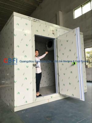 China CE 2 Ton 4 Hrs Commercial Blast Freezer Unit For Chicken Processing Room for sale