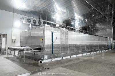 China Filet de pescado IQF Continuo Máquina de congelación rápida individual Comida Equipo de túnel rápido Congelador flash en venta