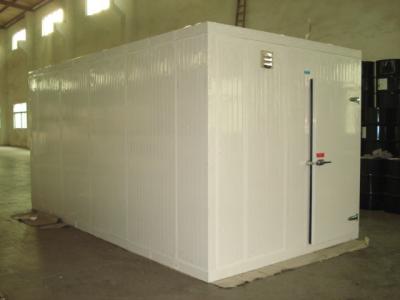 China -18 ~ -25℃ Polyurethane Pnel Freezer Cold Room for Fish and Meat Storage for sale