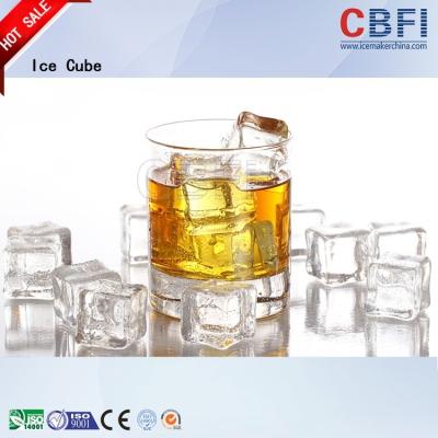 China Professional Ice Cube Machine / Commercial Ice Maker 22*22*22mm for sale
