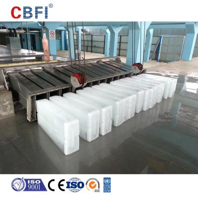 China Fabricante feito sob encomenda do bloco de gelo do tamanho 120T para a preservação aquática dos produtos à venda