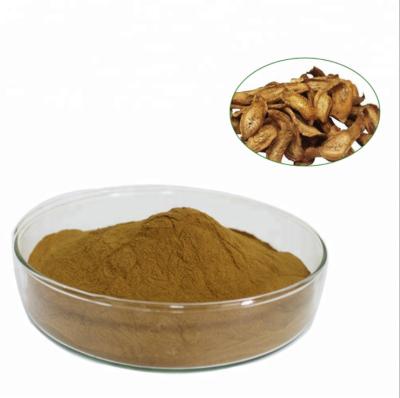 China Hot selling Herbal Extract Powder burdock root extract.All natural burdock root extract. for sale