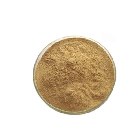 China Herbal Extract Powder Green Coffee Bean Extract Powder Chlorogenic Acid for sale