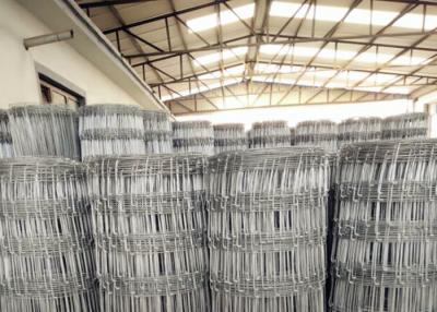 China Fixed Hinge Grassland Wire Fence , 2.5mm Galvanized Mesh Wire Fencing for sale