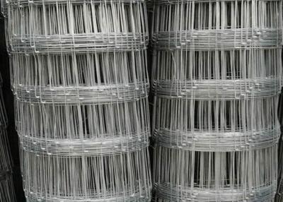 China Landbouwbedrijf Weide Gegalvaniseerd het Schermen Netwerk 12m Hoogte met Scharnierverbinding Te koop