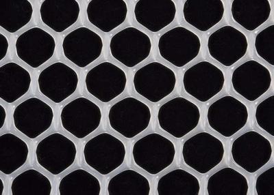 China Polipropileno expulso Mesh Netting Hexagonal Hole plástico 25g/m2 - 300g/m2 à venda