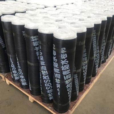 China Modern SBS Waterproof Flare App Applied Bitumen Roofing Membrane for sale