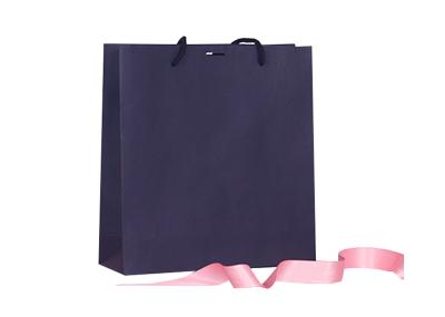 China Shoes And Clothes Luxury Store Packaging Paper Bags 200g 250g 300g Custom Logo for sale