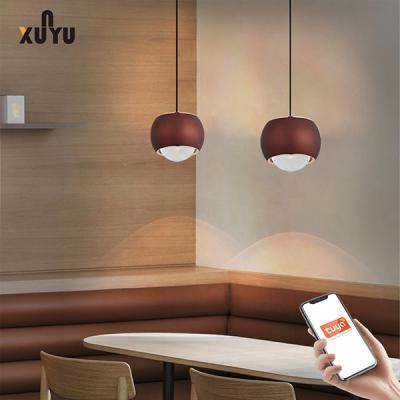 China XUNYU LED Pendant Light 8W 6000K Sphere Pendant Light Fixtures for sale
