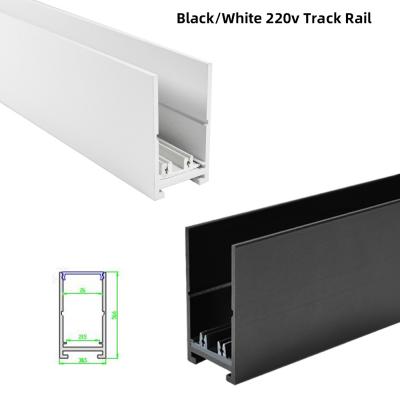 中国 世帯LED磁気にトラック柵1m-3mトラック柵の高く上がることは/表面取付けた 販売のため