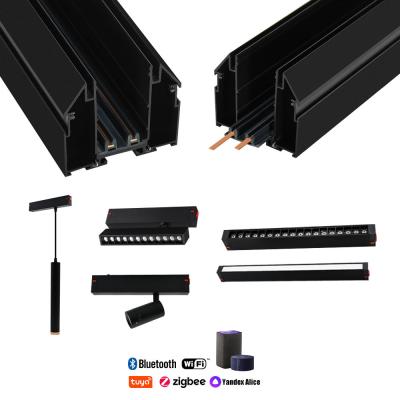 Китай 25mm Tension Ceiling Track Rail Commercial Lighting Smart Wifi Linear Grille Light 220V 2 Wires продается