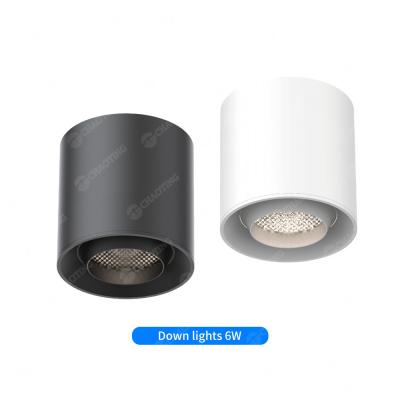 중국 Adjustable Anti Glare Magnetic Spotlight 3000k 6000W 24° Luminous Angle Downlight 판매용