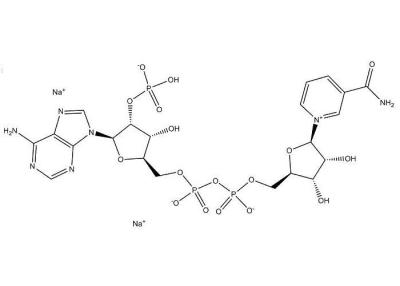 中国 NADP2Na 酵素のベータ ニコチン酸アミドのアデニン ジヌクレオチドの隣酸塩 二ナトリウム 塩 販売のため