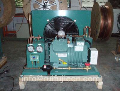 China  Compressor Air Cooled Cold Room Condensing Unit / Cold Storage Room Model Spb05km for sale