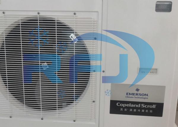 ZXL035BE-TFD-551 ZX Series Condensing Unit Refrigeration Unit R404A 50Hz