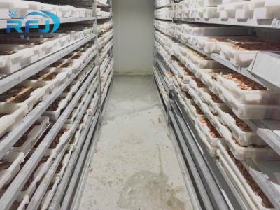 Chine Petite promenade de souffle de plat de tunnel de thon frais dans le panneau froid de contact d'Iqf de fruits de mer industriels de congélateur à vendre