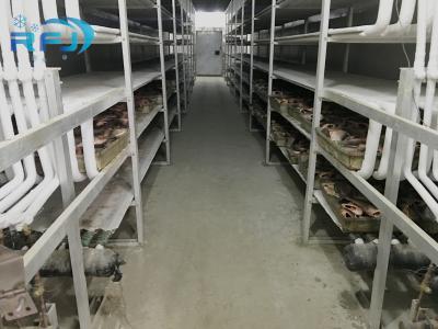 China Heat Insulation Industrial Cold Room -60~-0 Degree Temp For Meat / Fish Storage for sale